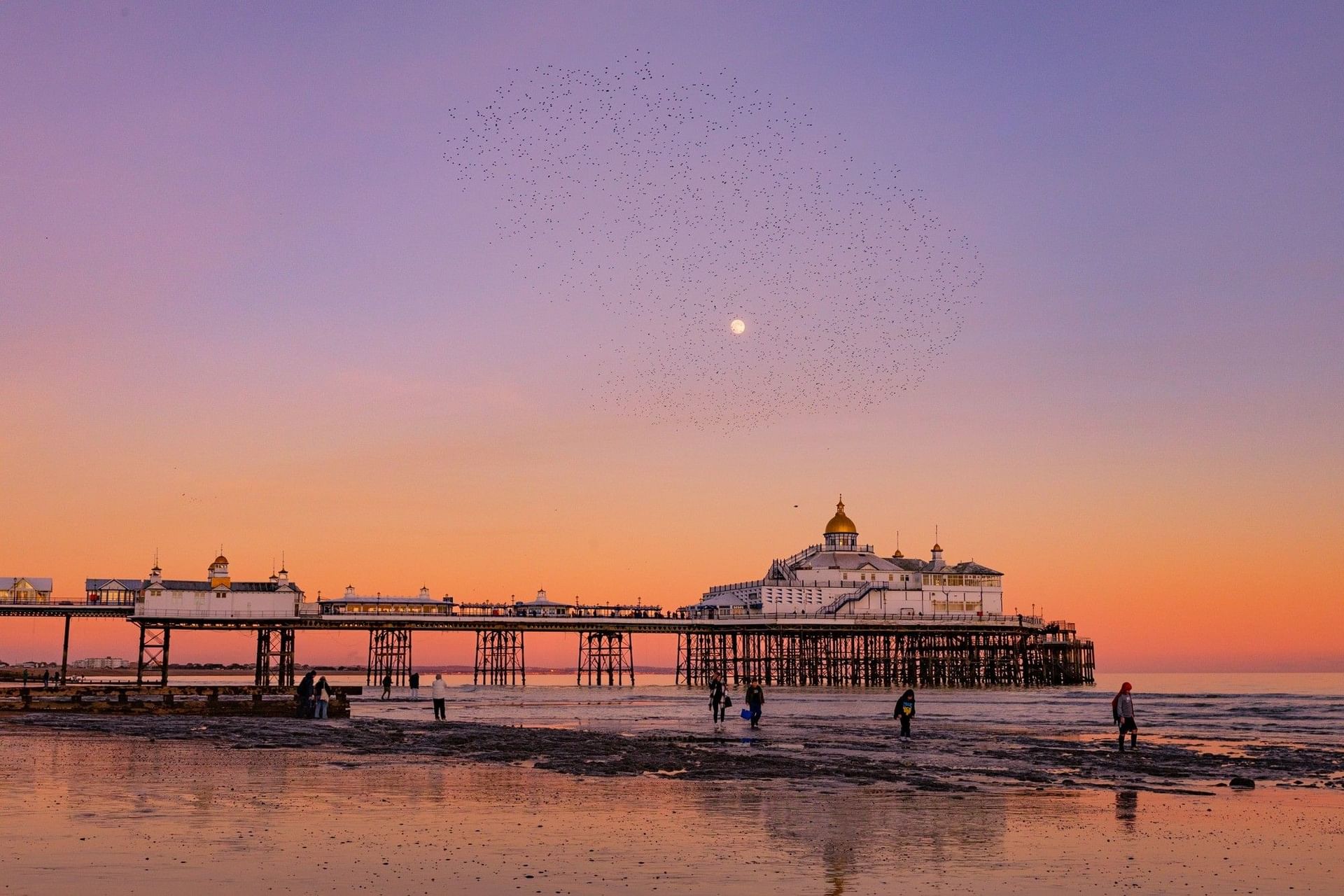 Beach with a pier at sunset, people on the shore, and a flock of birds flying above.