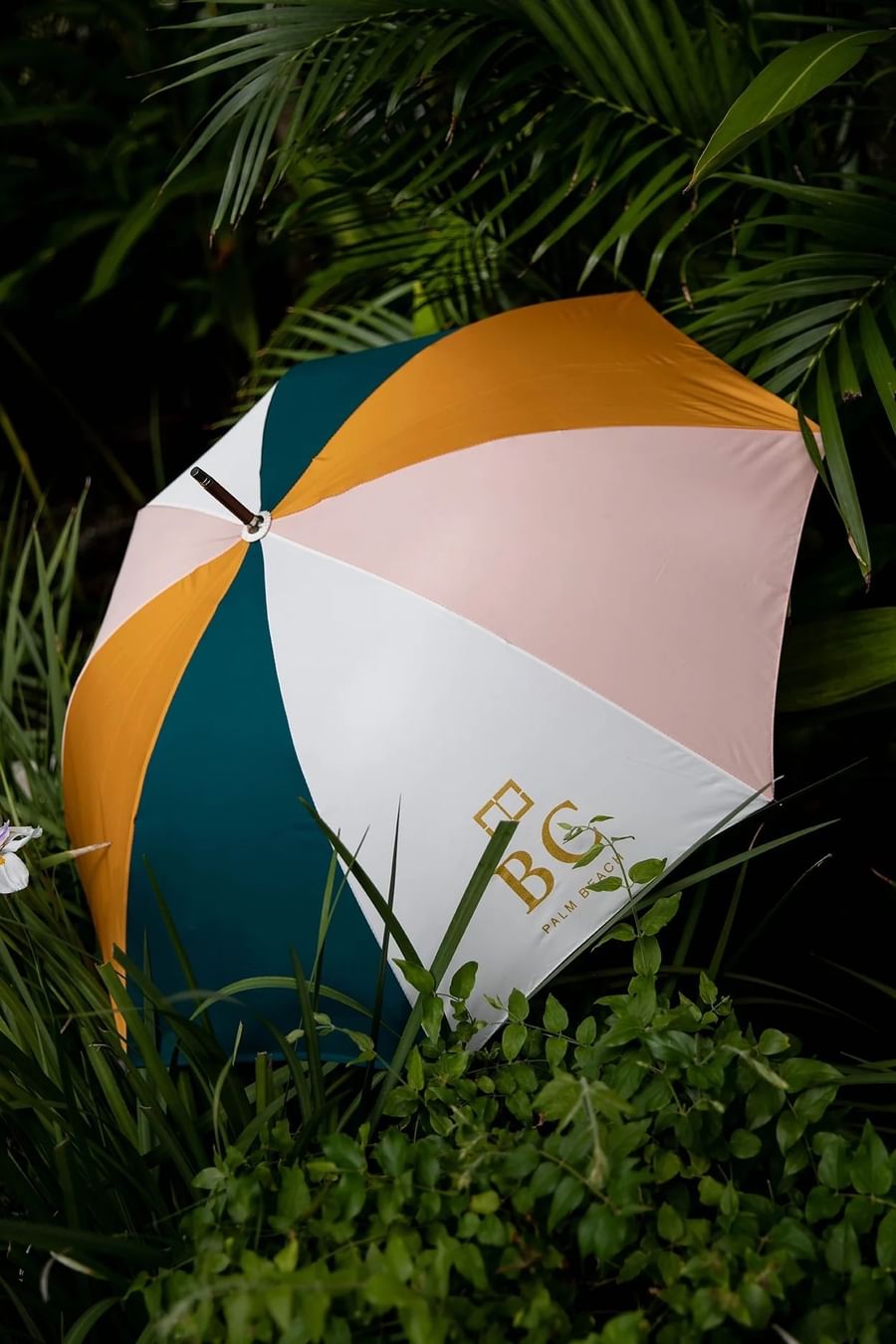 BC Umbrella