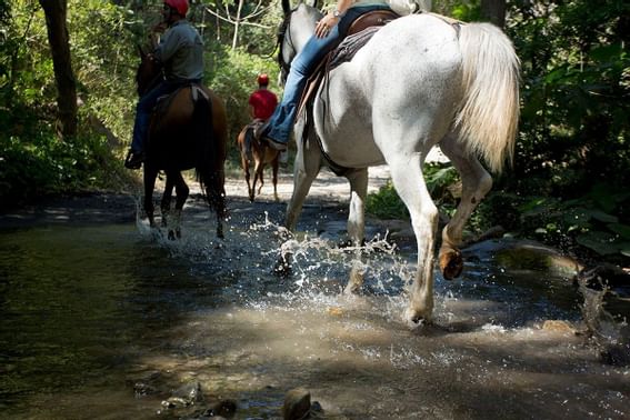 Activity at Buena Vista Del Rincon Eco Adventure Hotel And Spa