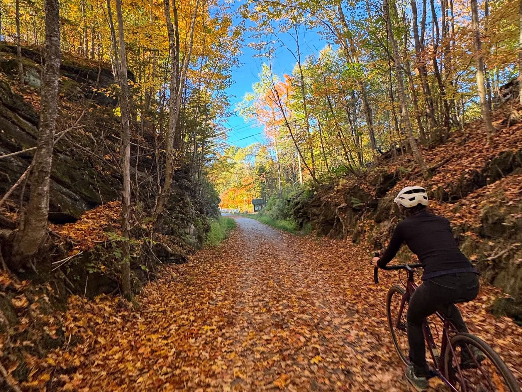 Cyclist riding through a leaf-covered trail surrounded by vibrant autumn foliage on Lamoille Valley Bike Tours