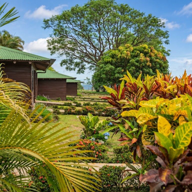 Wooden lodge with green metal roof surrounded by vibrant tropical plants and lush gardens under a blue sky.