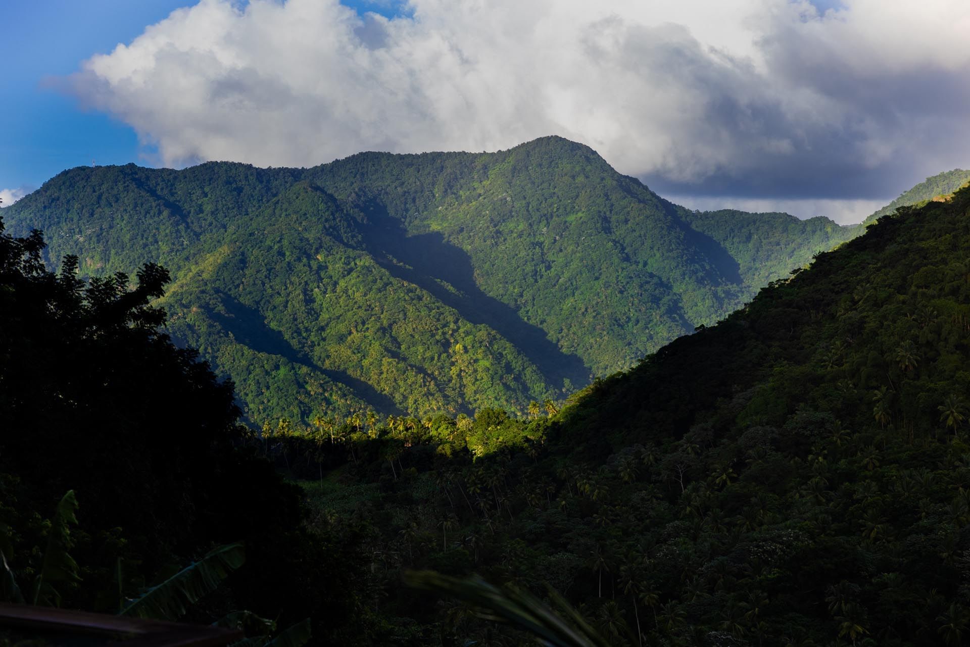 Distant view of the mountains and the rainforest in Gros Piton near Ladera Resort