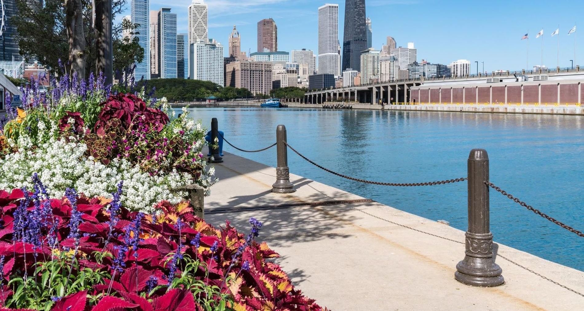 Colorful flowers and water with the city skyline in the background near Warwick Allerton Chicago
