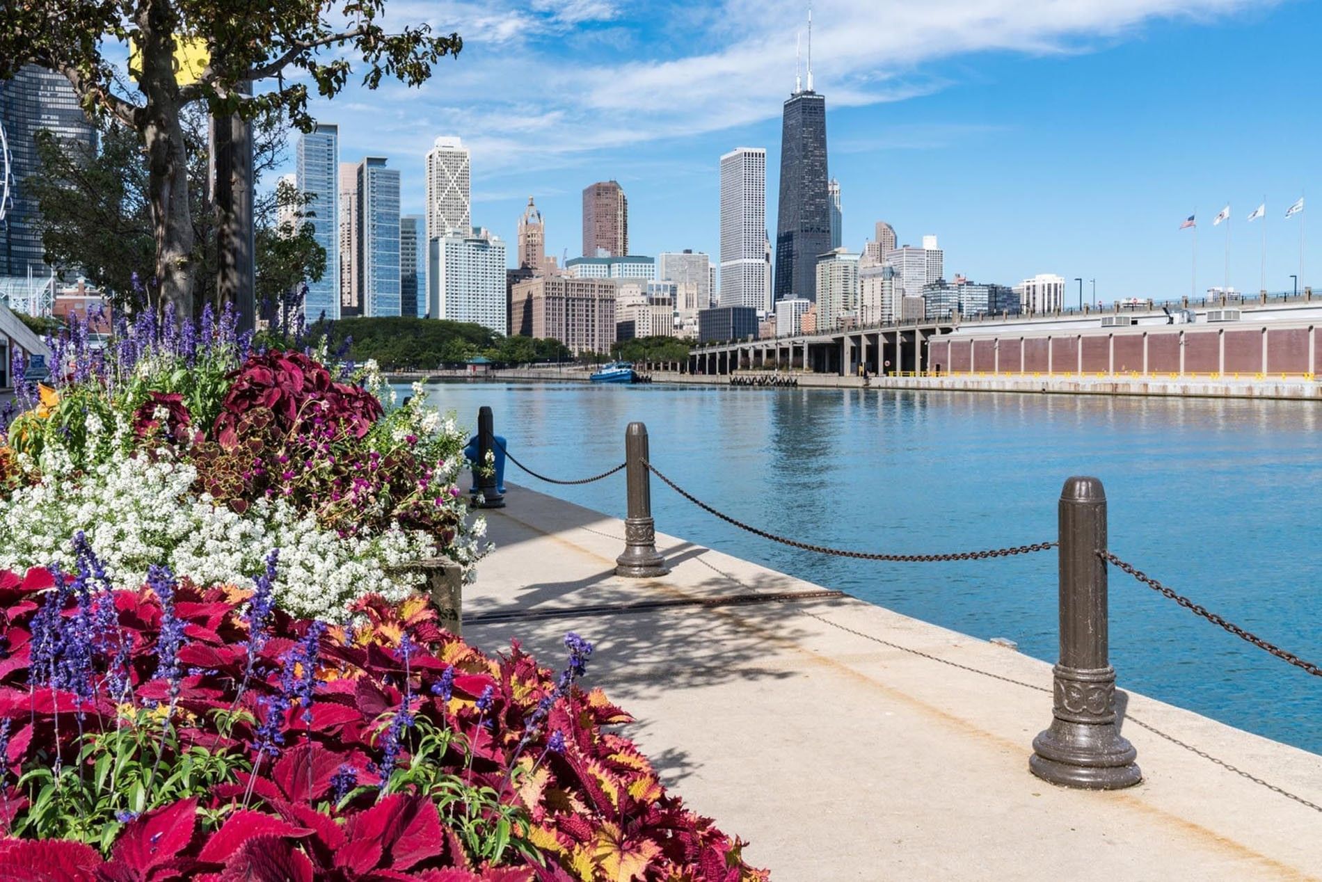 Colorful flowers and water with city skyline in background from Warwick Allerton Chicago - Redesign