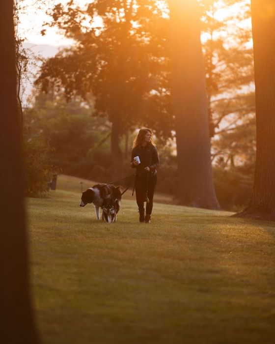 Person walking a dog at sunset with trees casting long shadows near The Lodge at Schroon Lake