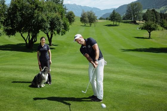 Golf with domestic animal at Imlauer Hotel Schloss Pichlarn