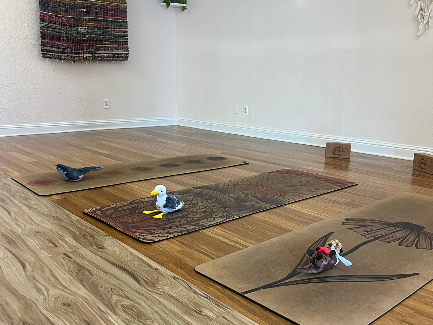 Empower Yoga and Mindfulness Grover Beach California 