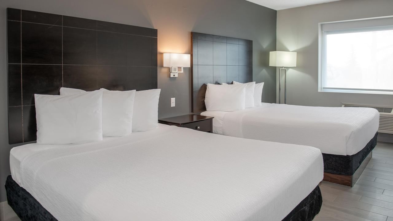 Two beds with white pillows and lamps.