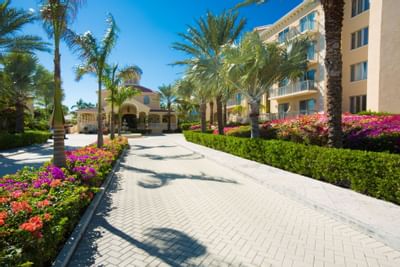 Garden with the entrance of the Somerset On Grace Bay