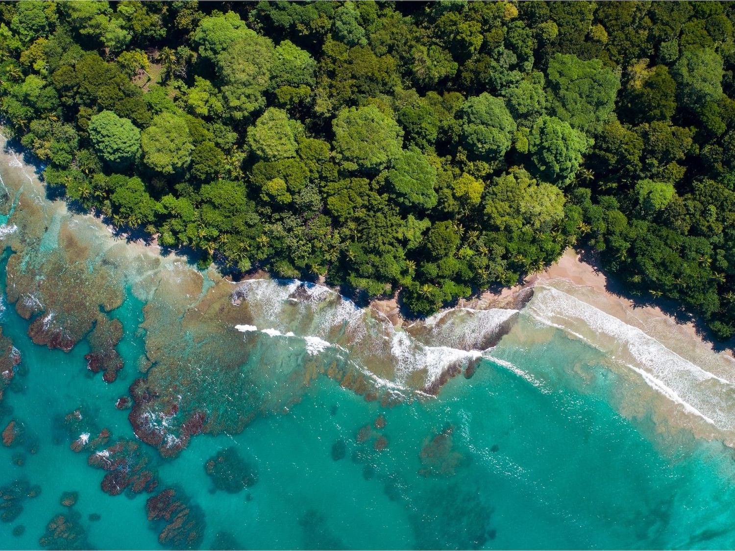 Aerial view of turquoise ocean waves meeting a sandy beach bordered by lush green tropical forest canopy