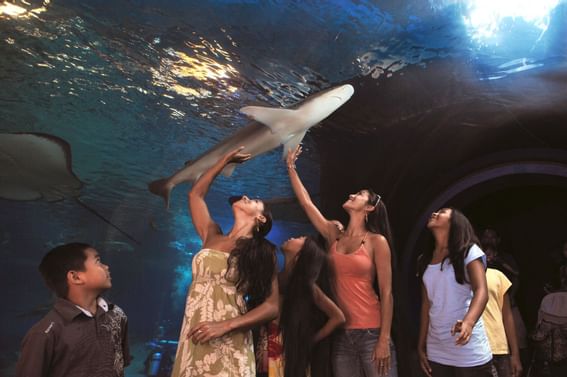 Interior of the ocean exhibit at Ka'anapali Beach Hotel Hawaii
