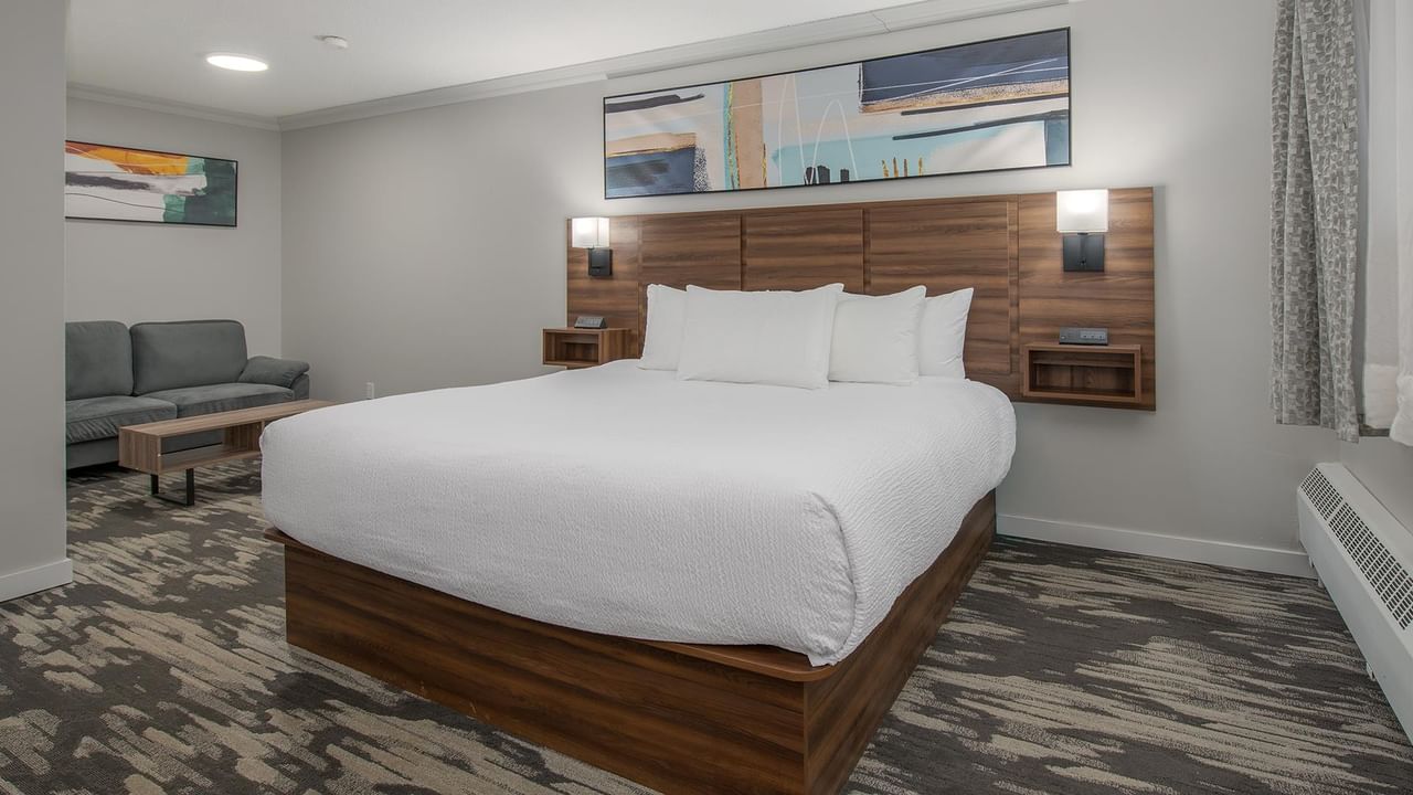 A comfortable hotel room with a bed, couch, and modern decor.