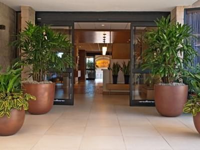 Plant pots lined by the entrance in Inn by the Sea at La Jolla