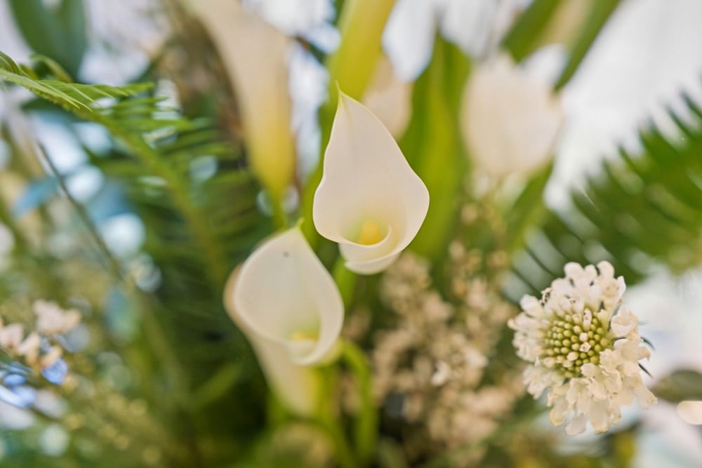 close up of flowers