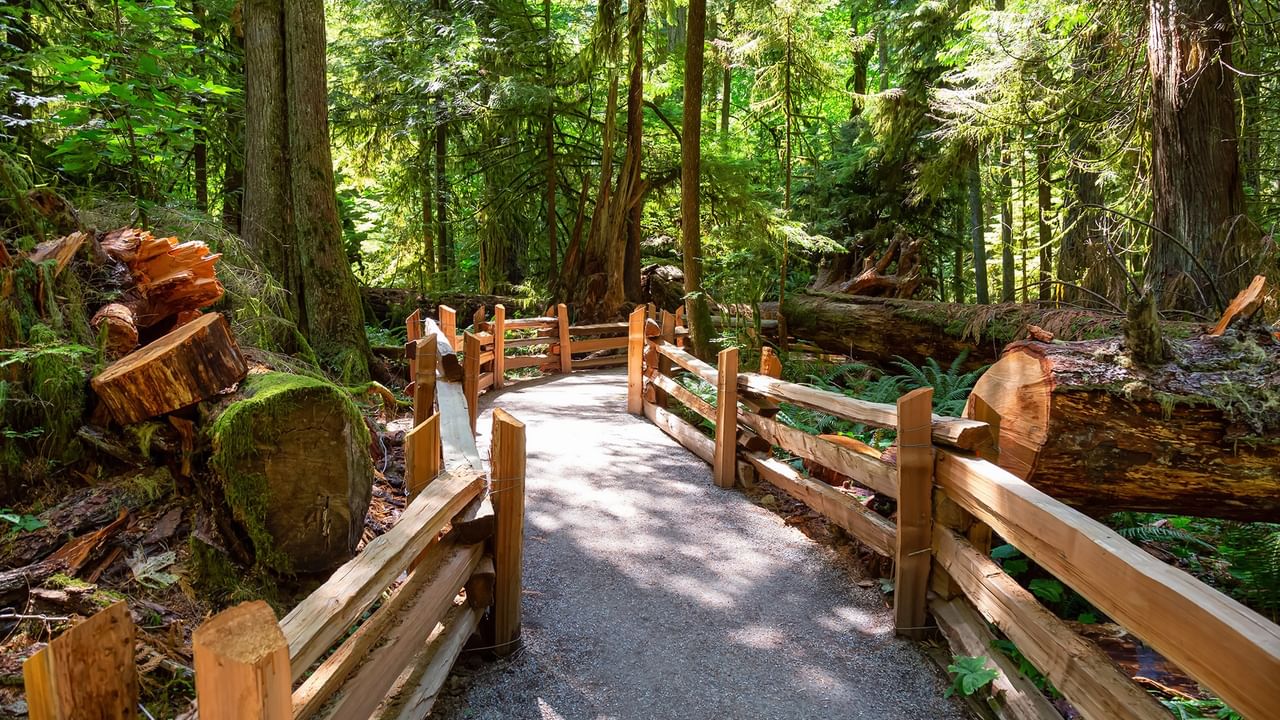 Wooden pathway with wooden fence on both sides, surrounded by tall trees and fallen tree logs near Coast Lonsdale Quay Hotel