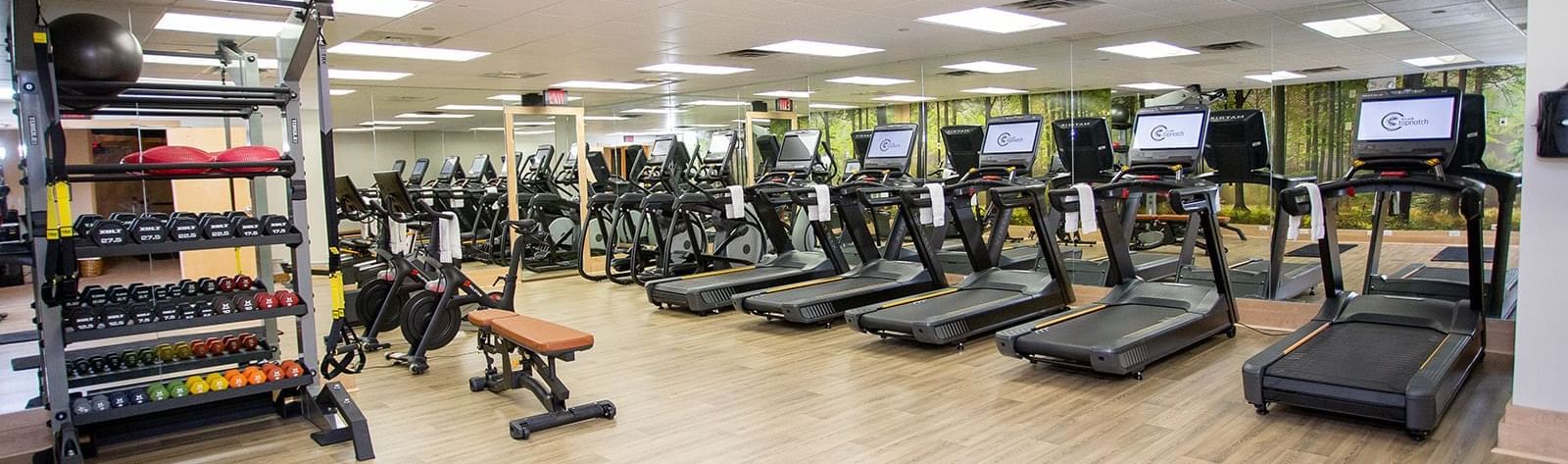 Treadmills arranged in the fitness center at Topnotch Stowe Resort
