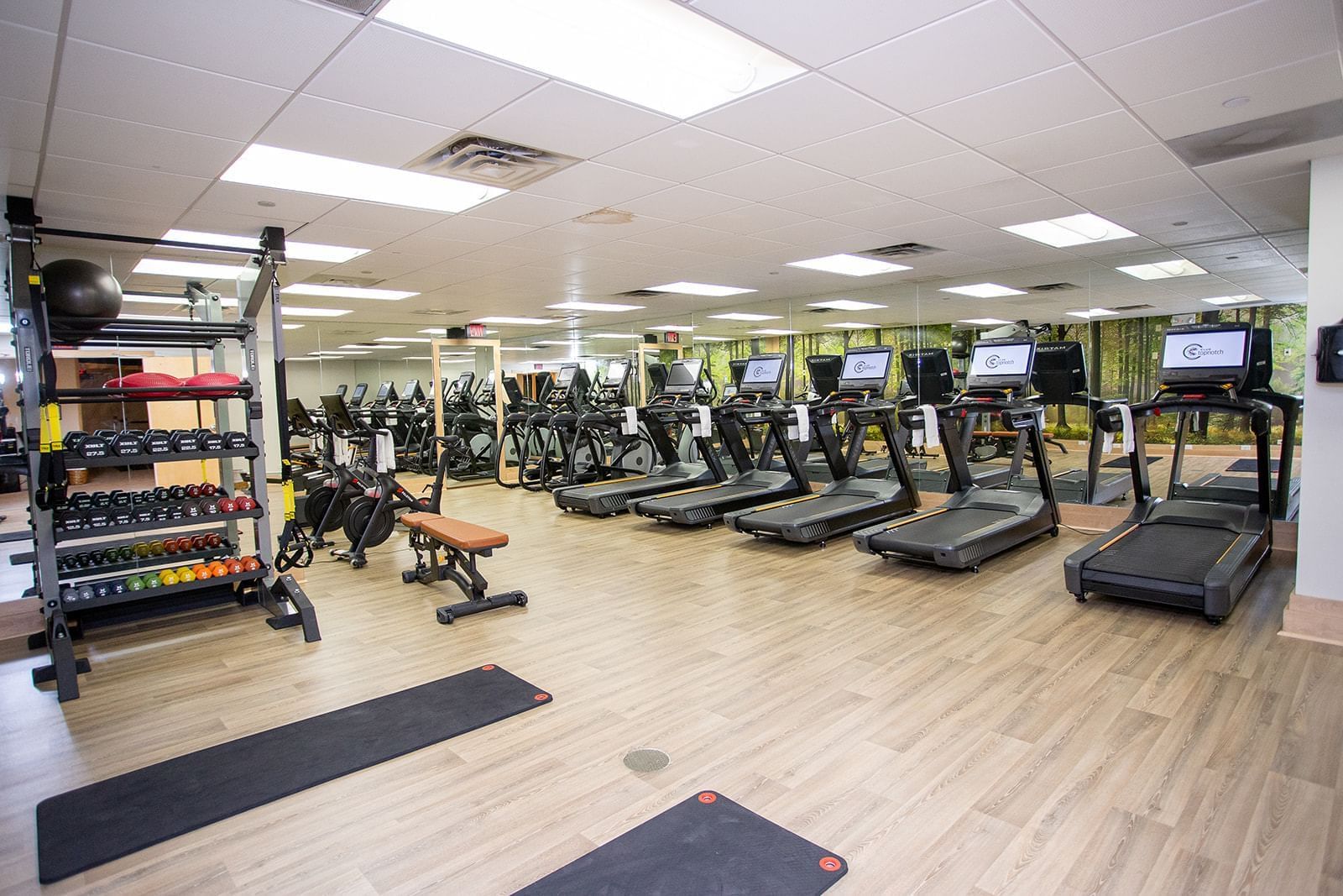 Treadmills arranged in the fitness center at Topnotch Stowe Resort