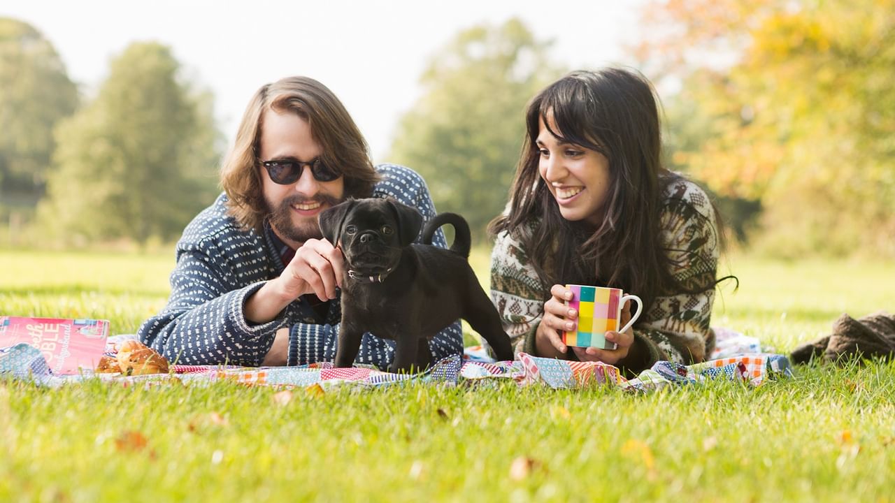 couple with puppy on a picnic blanket