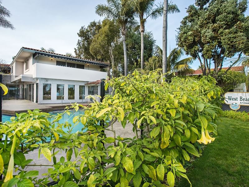 Outdoor pool and garden