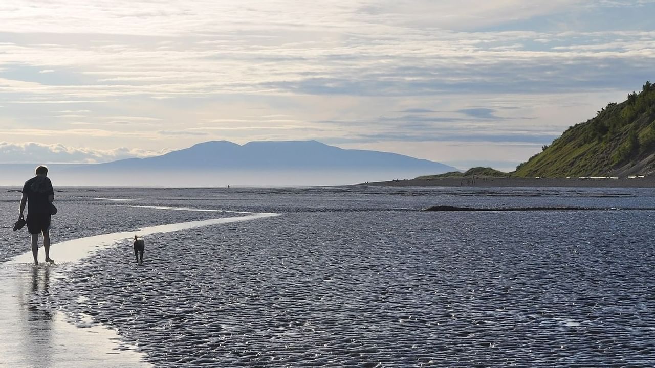 Dog walking along Kincaid Park with mountains in background