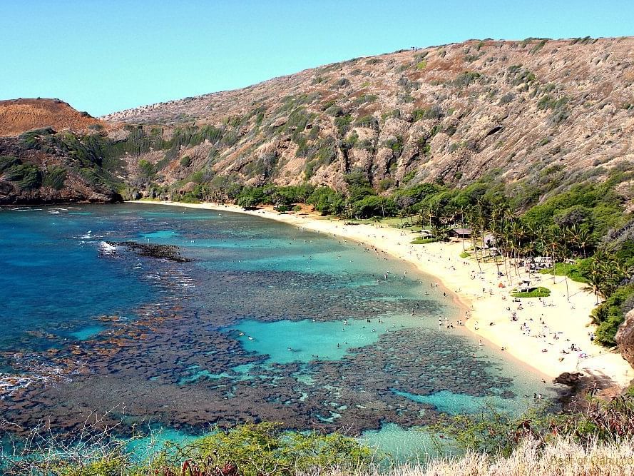 Aerial view of Hanauma Bay on a sunny day near Waikiki Resort Hotel