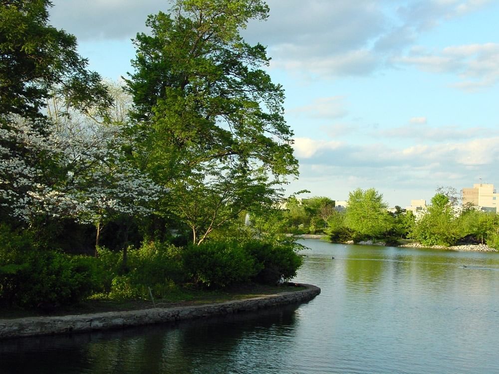 Lake with trees in Centennial Park near Hayes Street Hotel