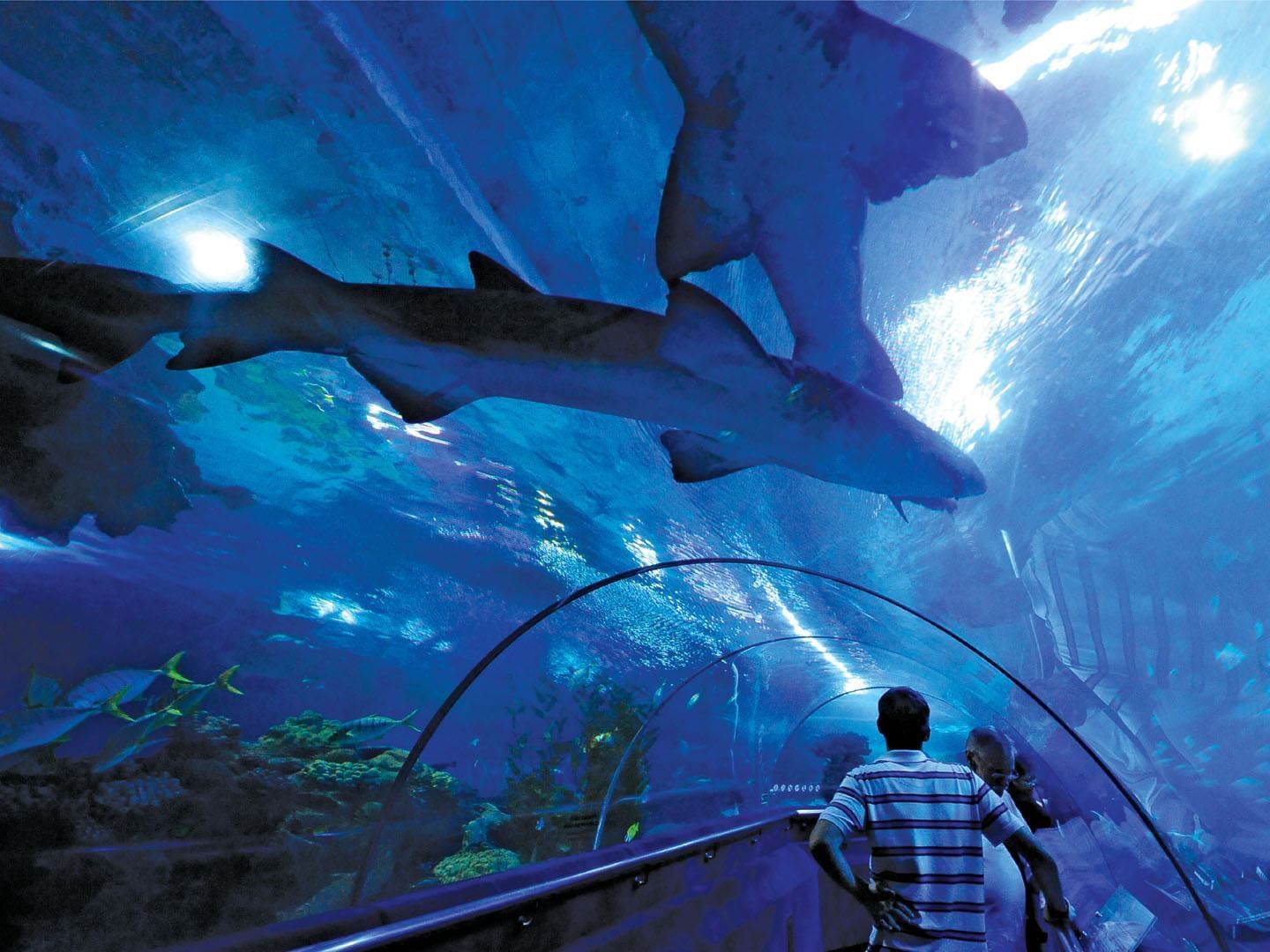 Interior view of Aquaria KLCC near Hotel Maya Kuala Lumpur