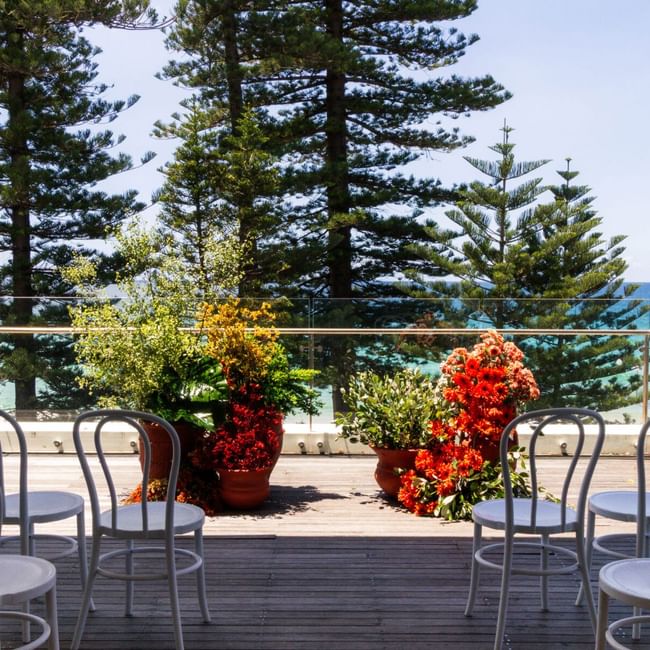 Elysium Manly wedding terrace featuring classic dining chairs set near lush floral arrangements by a glass railing