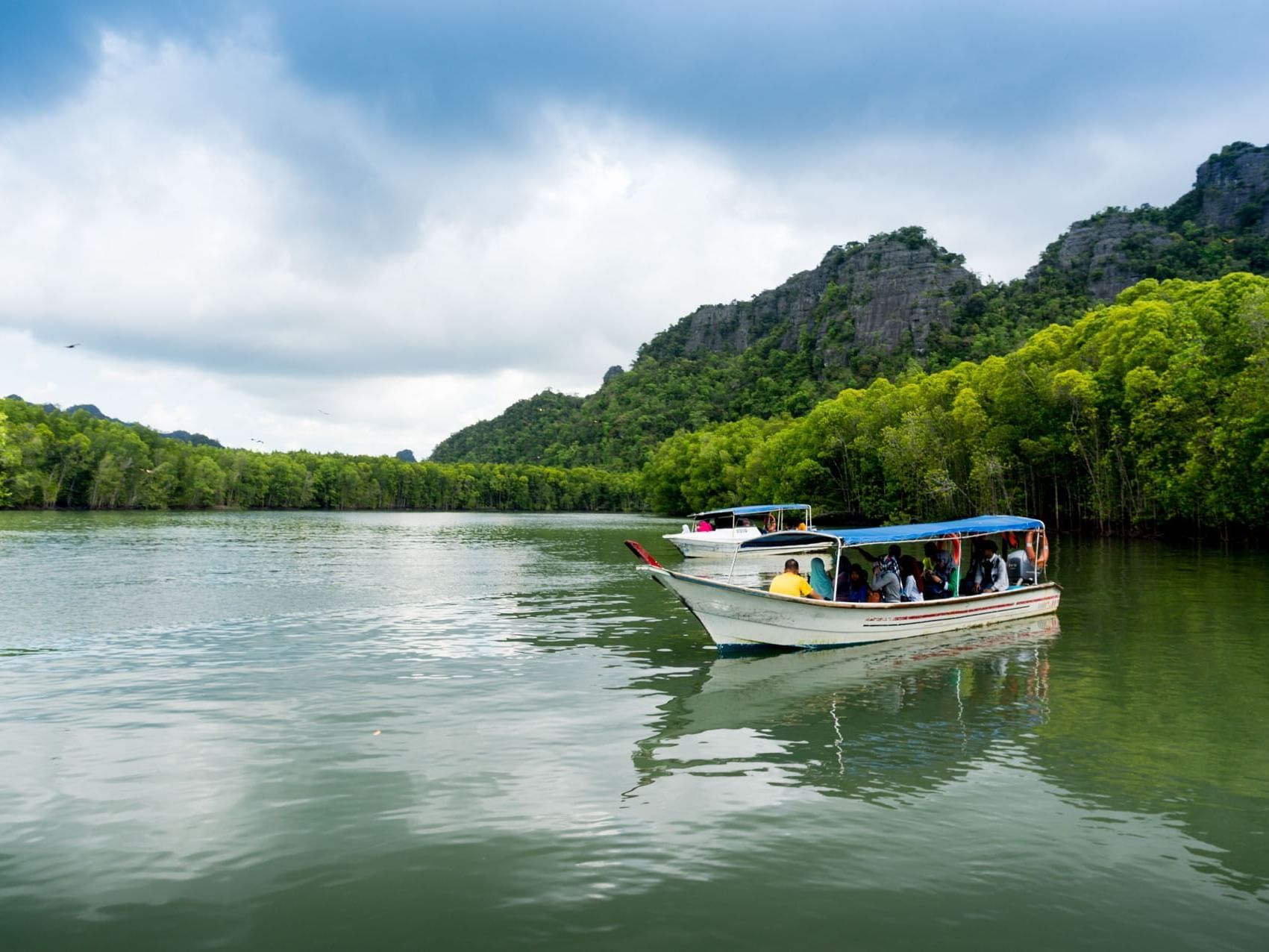 Mangrove River Cruise and Swimming near at The Danna Langkawi