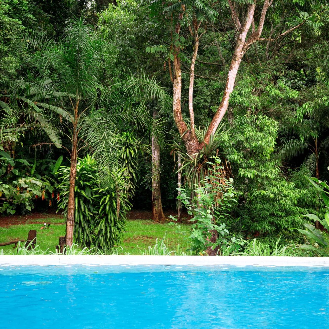 The pool with garden views at La Cantera Lodge de Selva