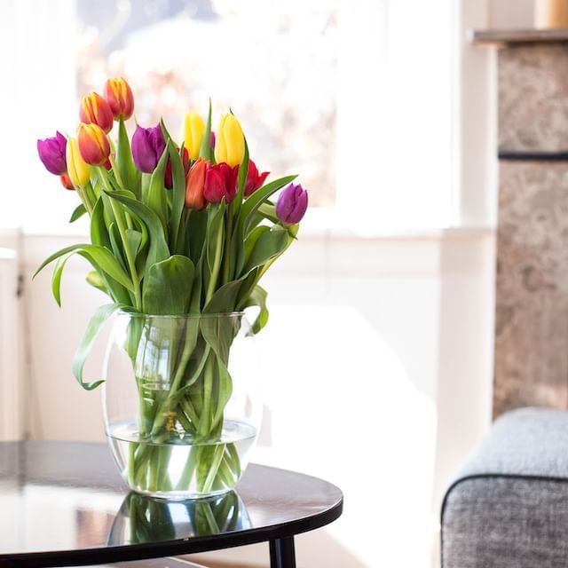 Fresh tulip flower bunch in a vase at Hotel 43