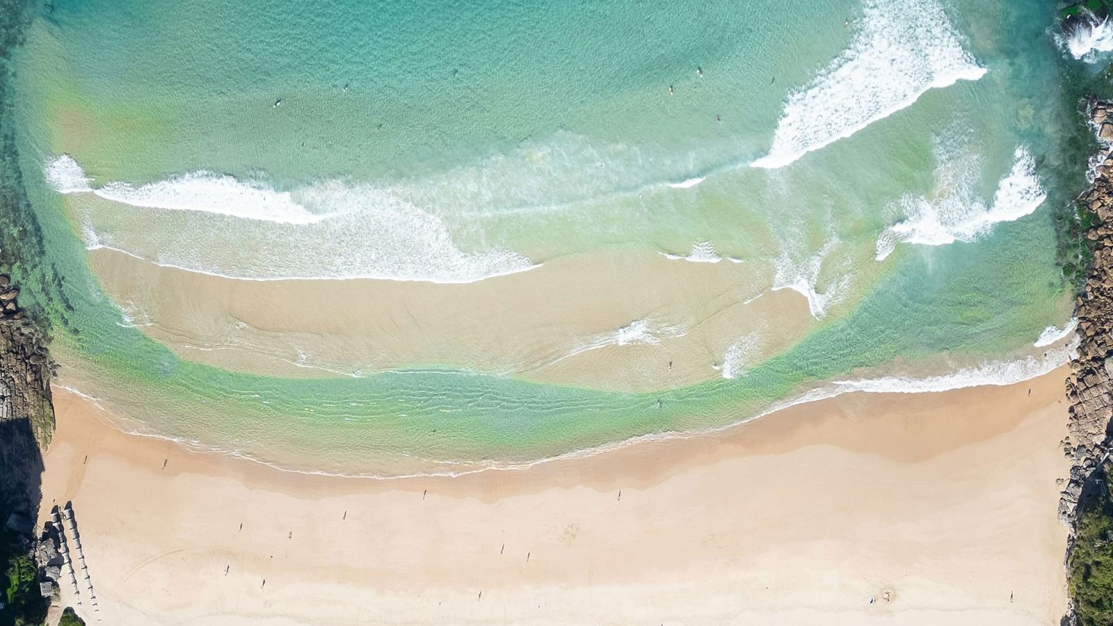 Aerial view of waves rolling onto Freshwater Beach sand, surrounding green headlands near Elysium Manly, best hotels in Manly