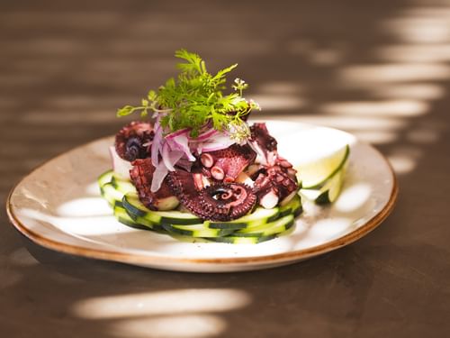 Sinaloa style octopus with cucumber slices on a plate at Tortugas in Hacienda Del Mar Los Cabos Redesign, Cabo San Lucas.