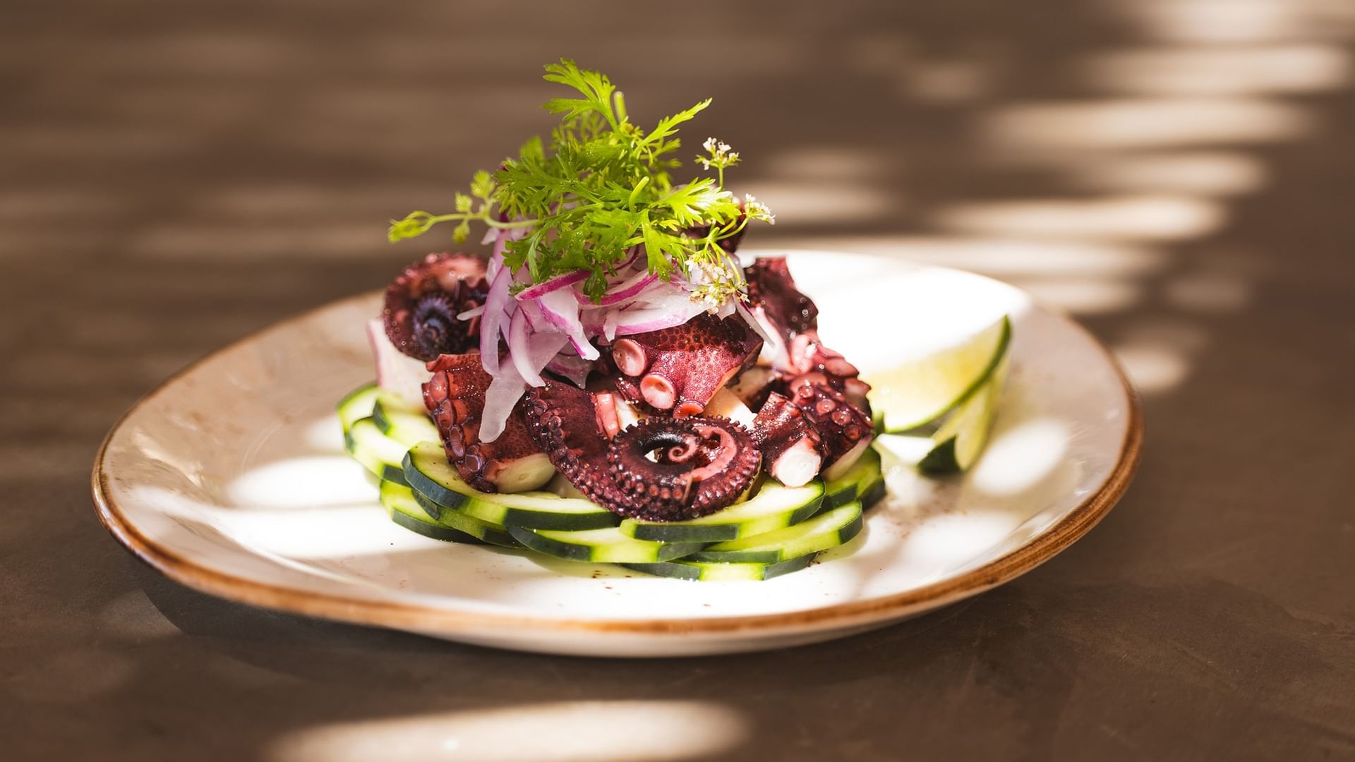 Sinaloa style octopus with cucumber slices on a plate at Tortugas in Hacienda Del Mar Los Cabos Redesign, Cabo San Lucas.