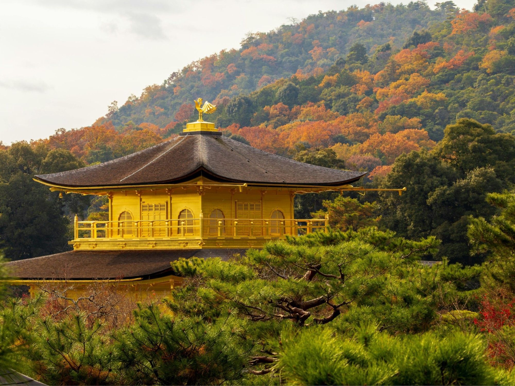 Park Hotel Kyoto | Autumn in Japan Kyoto