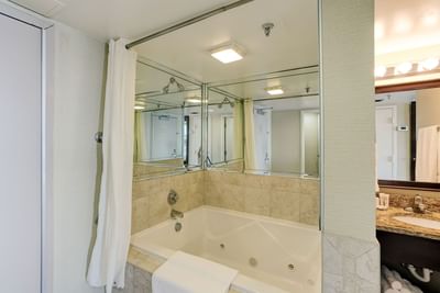 deluxe bathroom