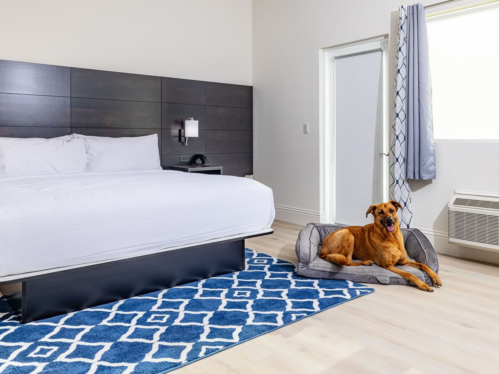 Dog relaxing next to a king-bed in Premier King Balcony Room at Grant Street Inn