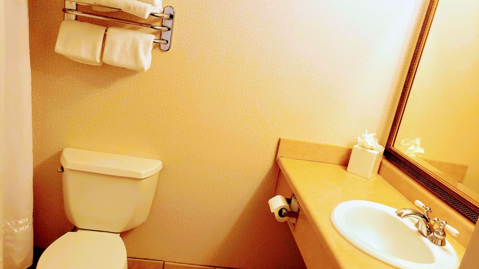 Standard w 2 Queen Beds Evergreen Resort