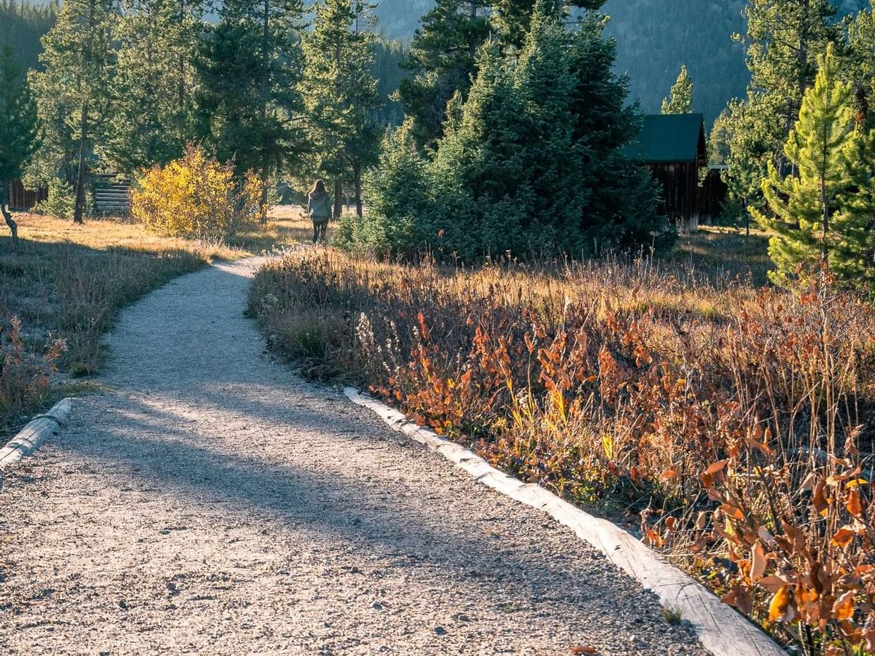 Lady on a path in guided hiking experience near Hotel Jackson