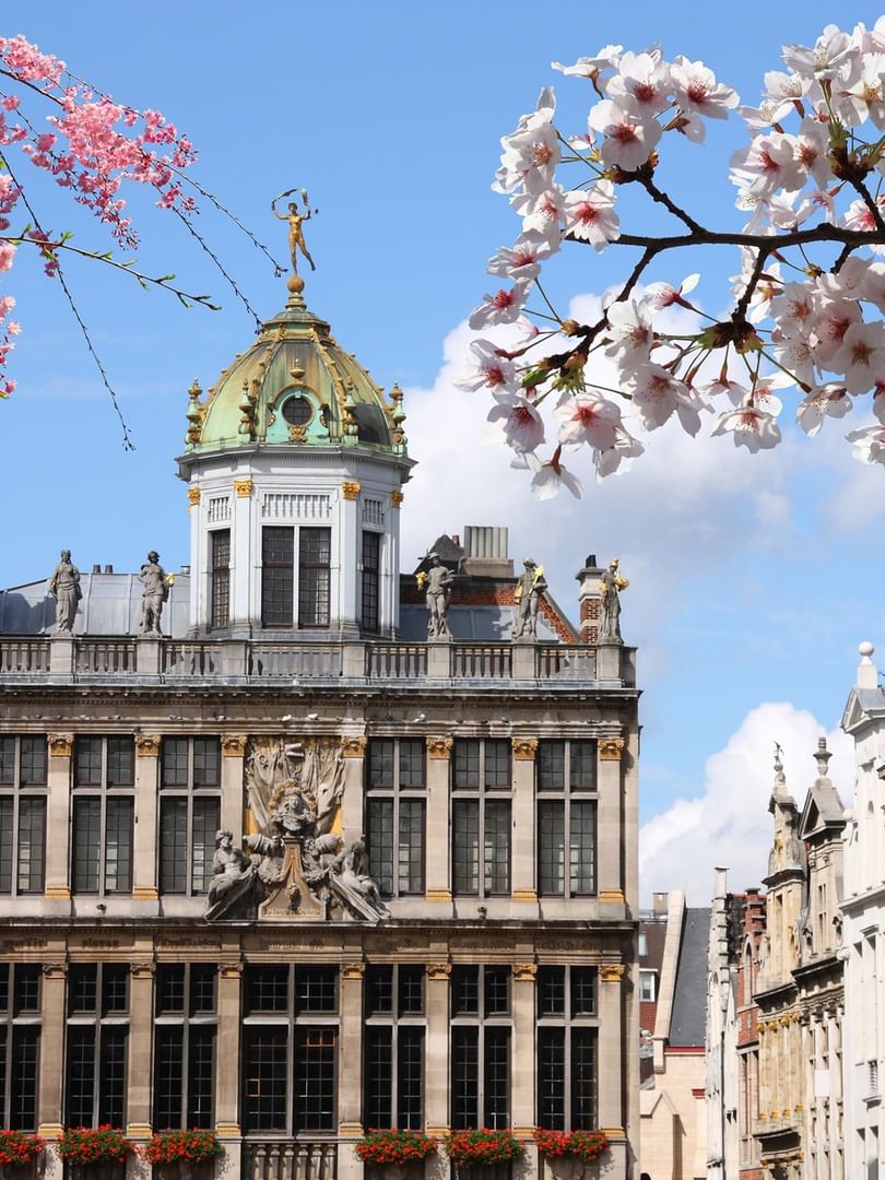 Spring blooms and ornate buildings in Brussels for Things to do in Brussels this Spring