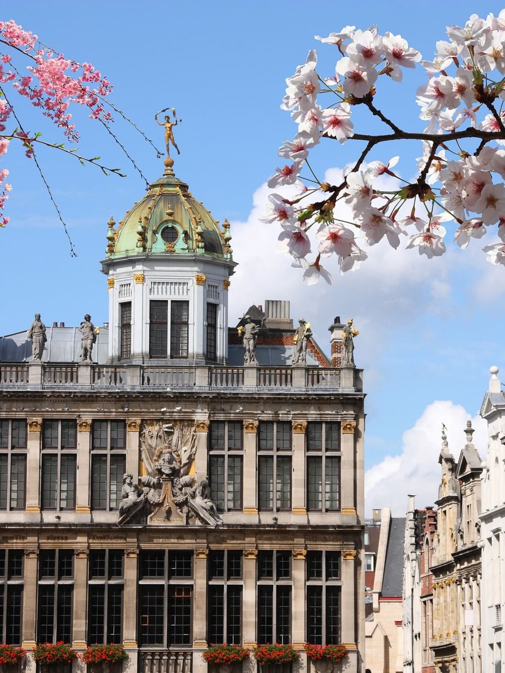 Spring blooms and ornate buildings in Brussels for Things to do in Brussels this Spring.