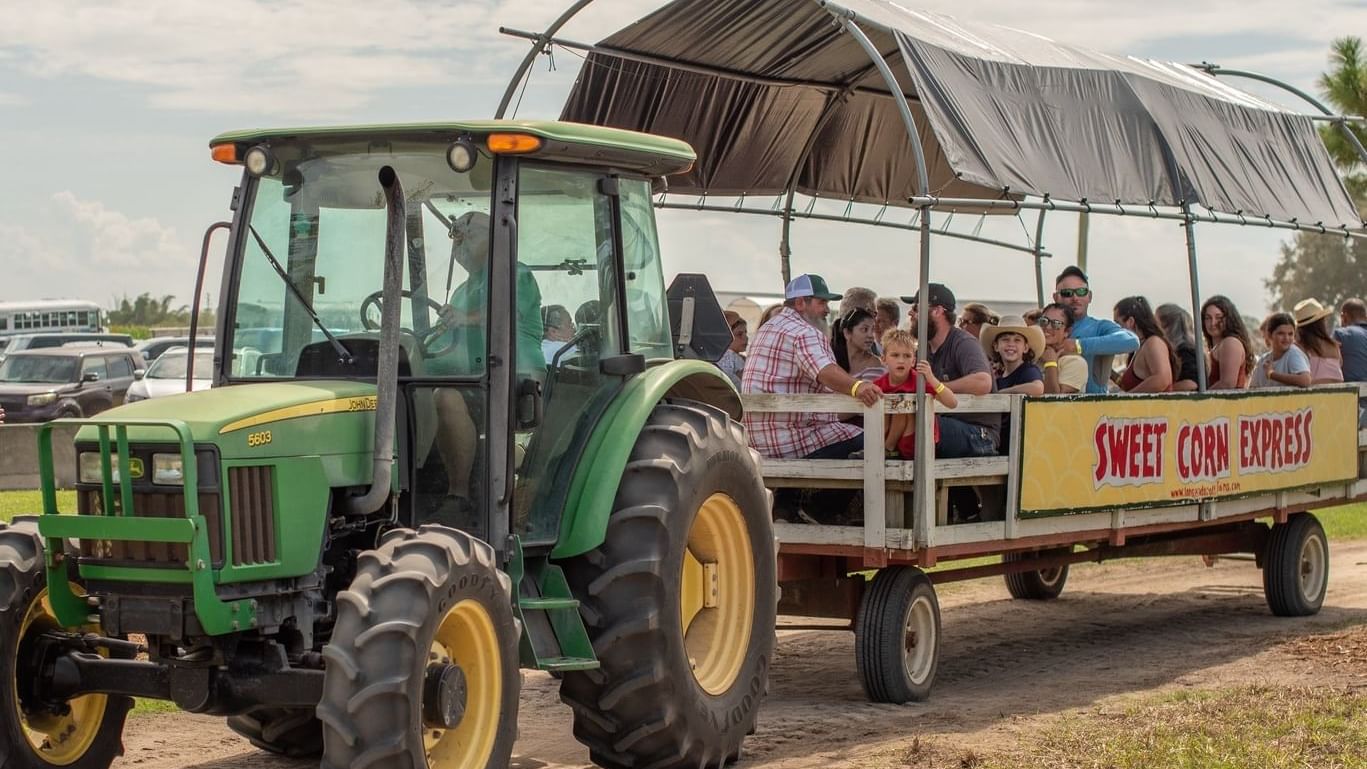 Great Scotts Farms Fall Festival in Orlando