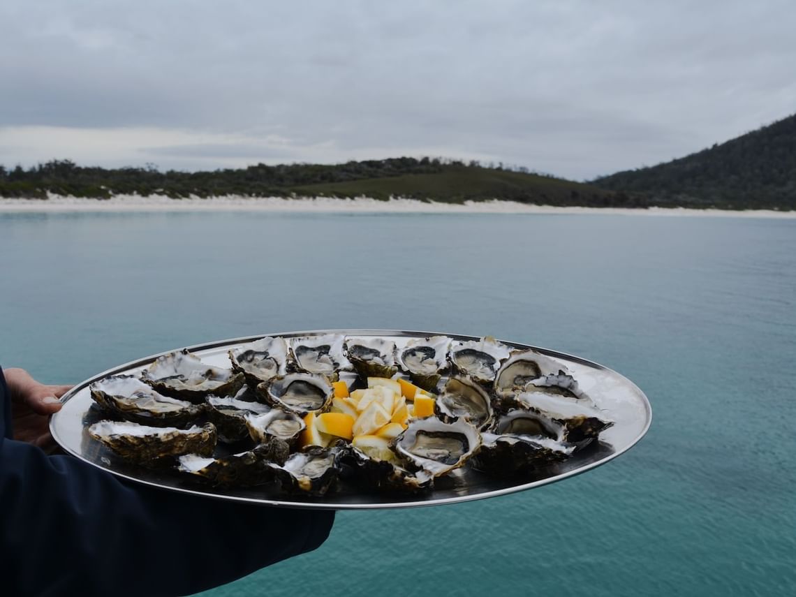 The Striking Beauty of a Wineglass Bay Cruise | News at Freycinet Lodge