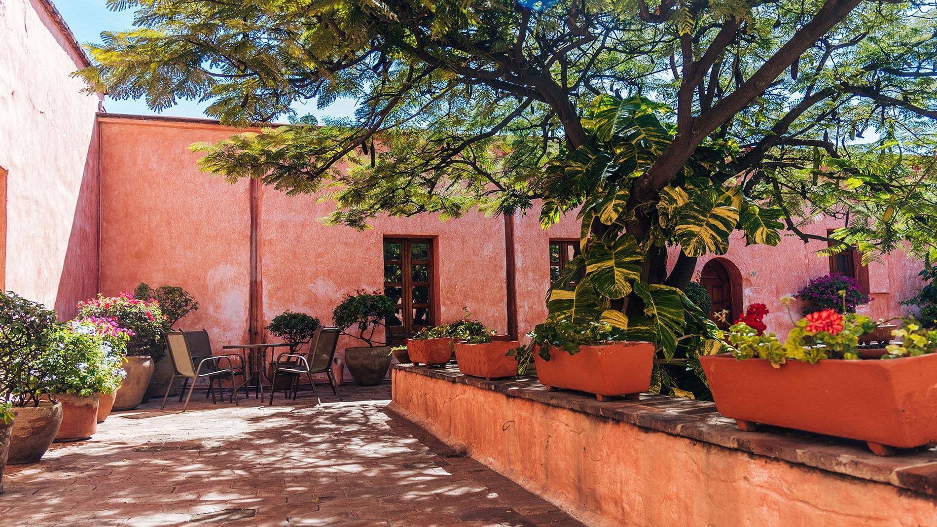 Sunny courtyard with terracotta pots filled with flowers and leafy plants lining a pink stucco wall at Quinta Real Oaxaca