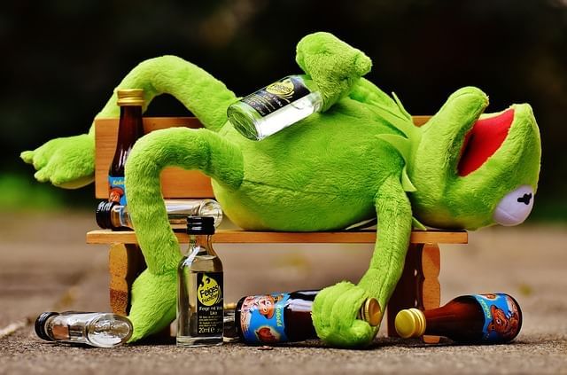 A plush Kermit the Frog sprawled on a bench with empty bottles at Lake Buena Vista Resort Village & Spa