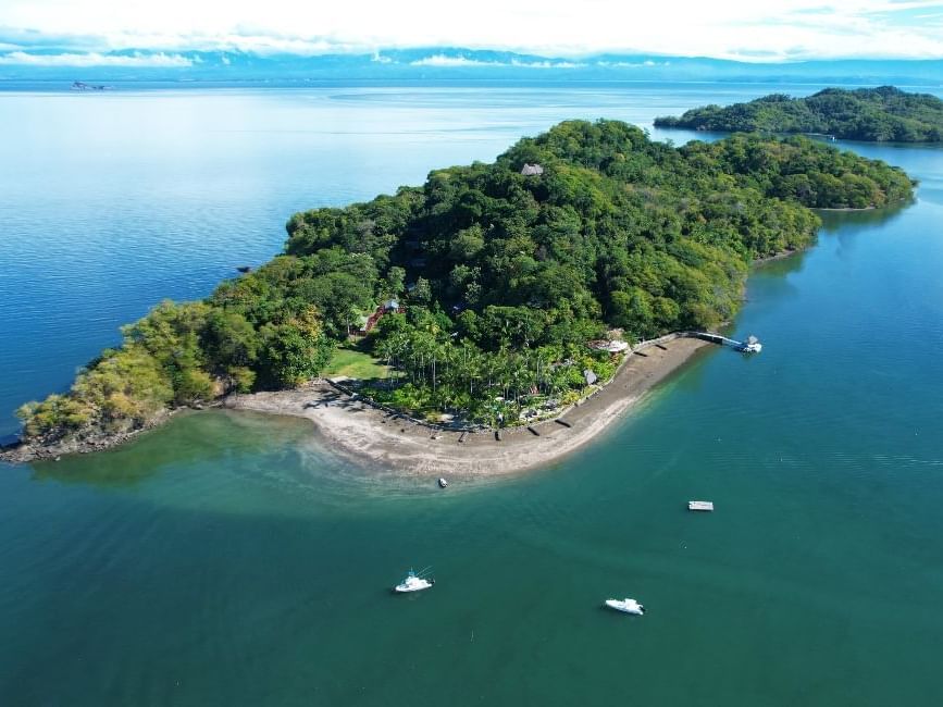 Aerial view of Isla Chiquita Glamping Hotel with lush greenery and ocean