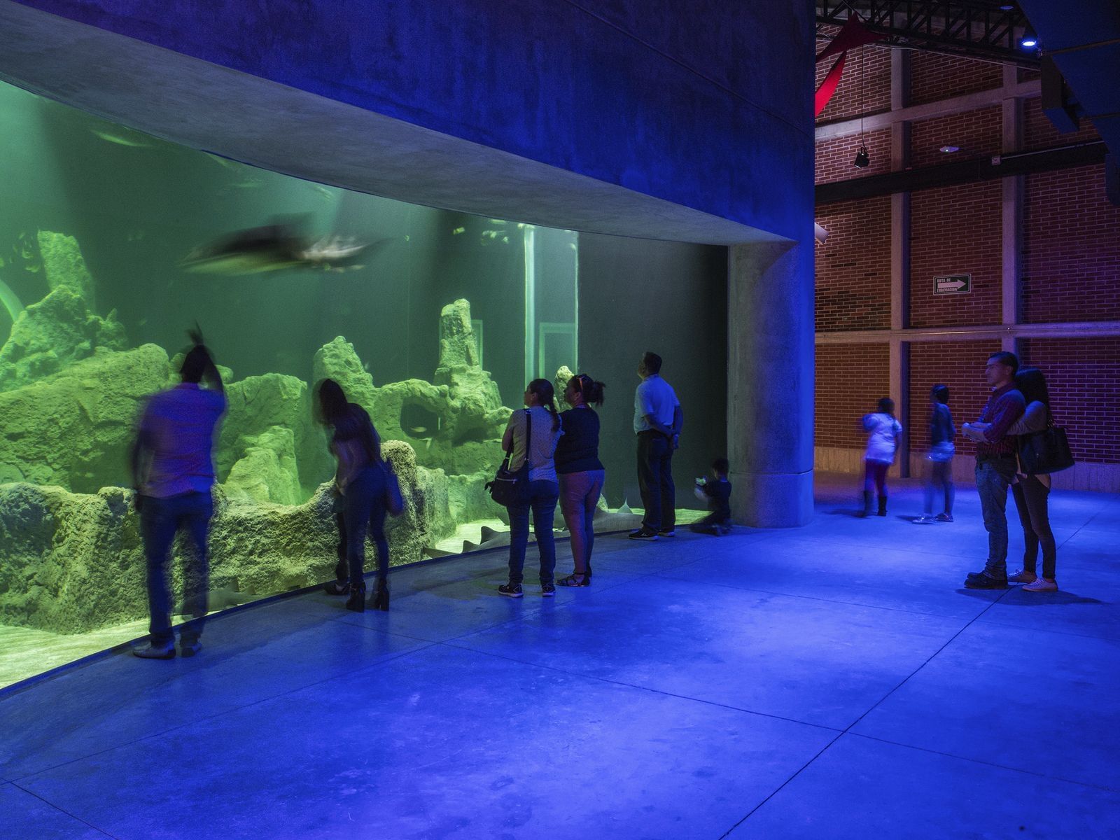 People at Michin Aquarium near Hotel Guadalajara