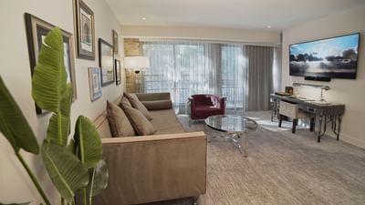 suite with couch and and balcony window