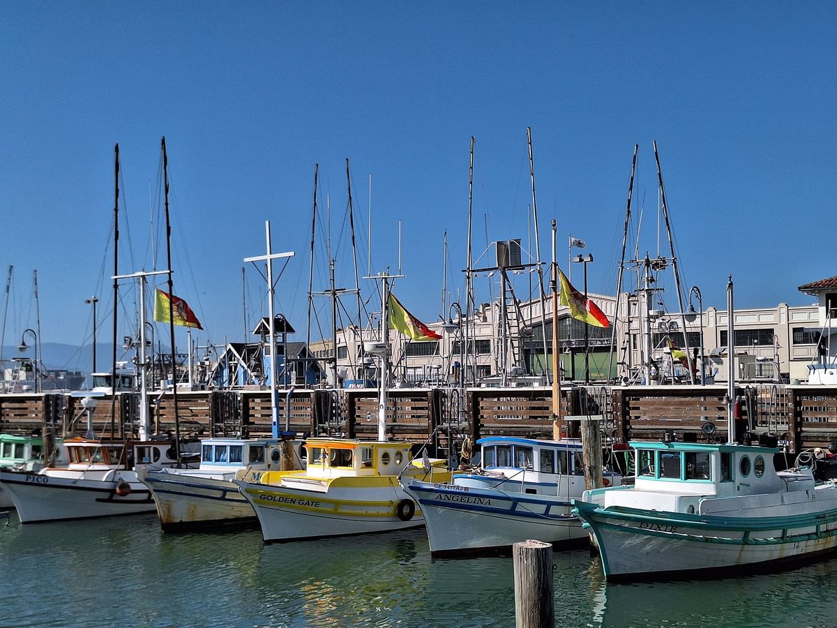 Fishing boats by a wooden pier under a clear blue sky near Fisherman's Wharf near Warwick San Francisco