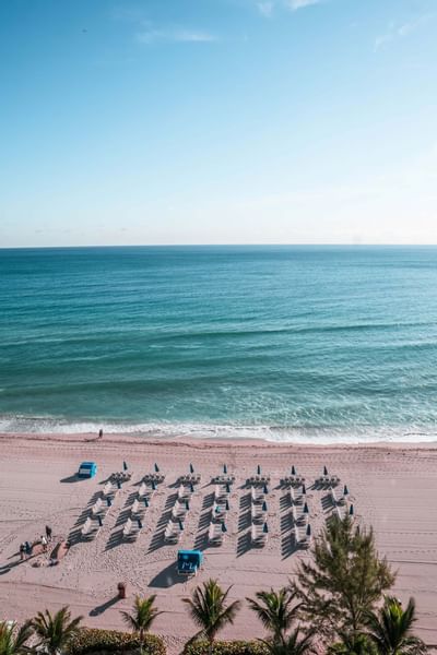 Sun beds with umbrellas on the beach at Marenas Resort Miami
